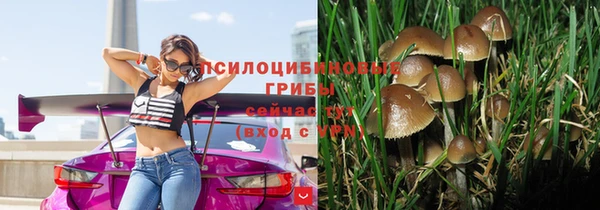 ГАЛЛЮЦИНОГЕННЫЕ ГРИБЫ Нефтегорск