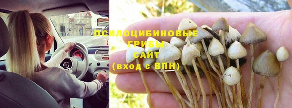 бошки Нефтекумск