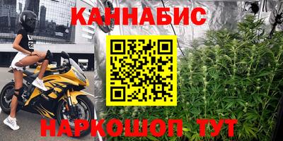 сатива Апшеронск