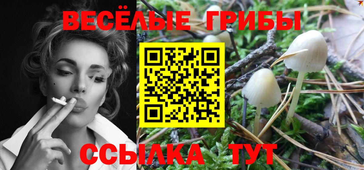 Псилоцибиновые грибы GOLDEN TEACHER  Вход с VPN  Бахчисарай 