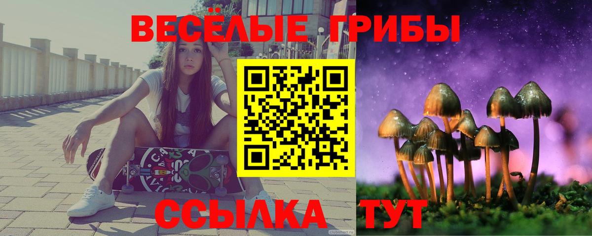 Галлюциногенные грибы мицелий Бахчисарай