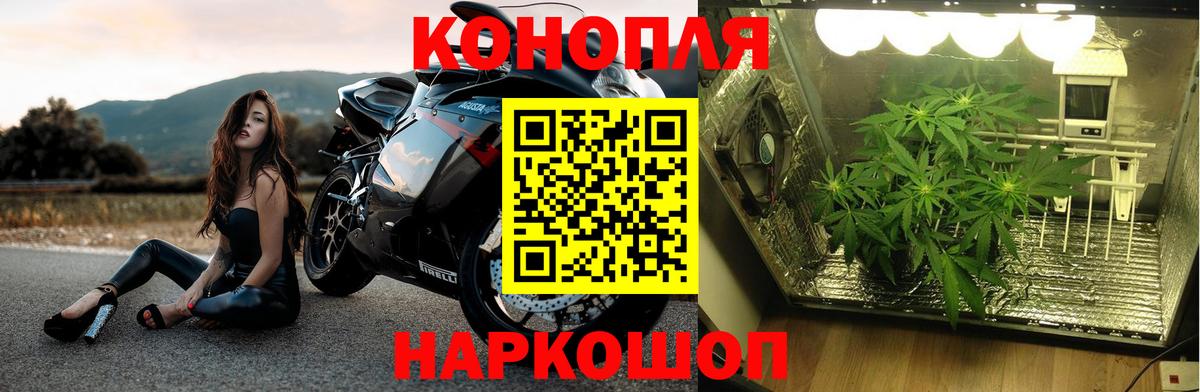 Бошки марихуана семена  Вход с VPN  Бошки Шишки White Widow  Бахчисарай  Канабис тримм  Бошки марихуана тримм 